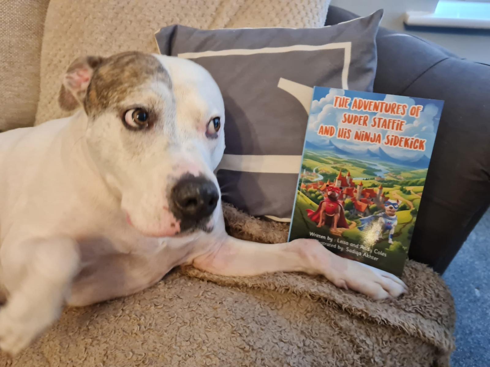 George the white Staffie lying with the book